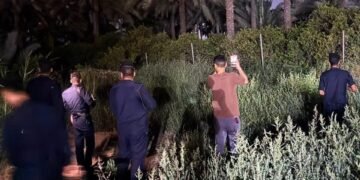 شرطة البيئة تنفي هروب أسود في التاجي: الأوضاع في المنطقة آمنة ومستقرة
