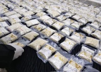 الداخلية: القبض على تاجر مخدرات بحوزته 36 كغم من الكبتاجون