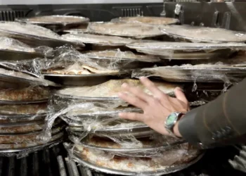 ضبط مواد غذائية غير صالحة للاستهلاك البشري في ذي قار