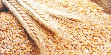 ملايين الأطنان من الحنطة ومسارات إمداد بديلة.. التجارة تؤكد تعزيز الأمن الغذائي