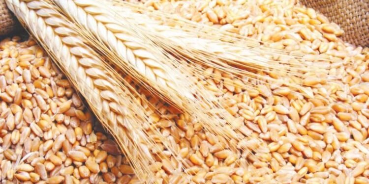 ملايين الأطنان من الحنطة ومسارات إمداد بديلة.. التجارة تؤكد تعزيز الأمن الغذائي